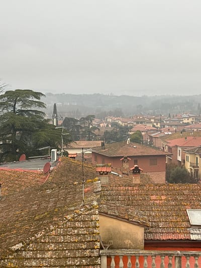 An elevated, wide-angle view captures a residential area of Sinalunga, Italy, under an overcast sky. The foreground is dominated by multiple red-tiled rooftops, many exhibiting heavy moss and grime, suggesting age and damp conditions. Visible rooftop elements include several brick chimneys with terracotta caps, two red satellite dishes, a white outdoor air conditioning unit, and multiple television antennas. A red-orange balustrade with white balusters is partially visible in the lower right, indicating the vantage point.
The midground features a dense cluster of red-roofed buildings, primarily residential, interspersed with numerous trees, including large evergreens and some bare deciduous trees. A distinctive, tall, dark spire or bell tower rises prominently on the left, behind a large evergreen tree and above the surrounding rooftops.
The background consists of rolling hills or distant terrain, heavily vegetated and appearing hazy or misty, fading into the uniformly light-gray, overcast sky. No people, discernible actions, or interactions are visible within the scene. The overall lighting is diffuse and flat.