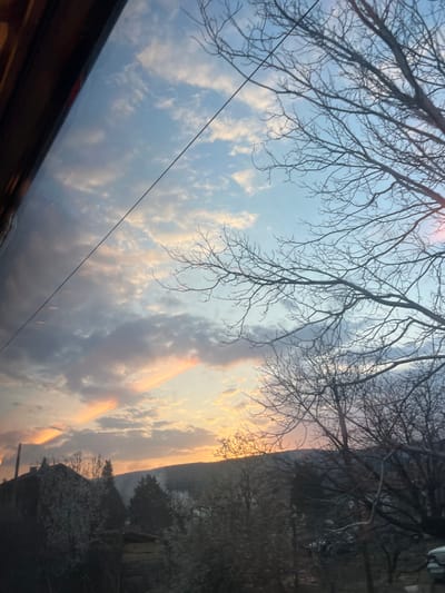 The image depicts a sunset over the city of Usoika, Bulgaria. The sky displays a gradient from light blue overhead to warm pink, orange, and golden yellow hues near the horizon. Scattered clouds are present, and distinct crepuscular rays are visible in the mid-left, emanating from the setting sun. A dark, reflective surface, consistent with an interior window frame, occupies the upper-left quadrant. A thin black line, appearing to be a wire or utility line, traverses the upper-middle of the frame. In the midground, numerous deciduous trees, primarily bare, are silhouetted against the sky, with their intricate branch structures prominent, especially on the right. Some trees in the lower-left and central midground exhibit white blossoms, indicative of spring. Residential structures with dark roofs are partially visible among the foliage in the lower-left. A range of vegetated hills or mountains forms the distant background. No individuals, specific actions, or interactions are observable.