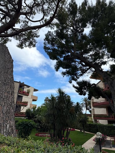 The image shows a view upward from ground level in Sanremo, Italy, looking toward the sky, framed by trees and buildings. In the foreground, the rough, textured bark of a large tree trunk is visible. Above this, the branches and foliage of several trees, including what appears to be a pine tree, reach toward the sky. Patches of blue sky with scattered white clouds are visible through the branches. In the background, sections of buildings with balconies and windows can be seen, interspersed with greenery. One building has planter boxes on the balconies. The scene also captures a manicured lawn, a paved pathway, and a lamp post with a spherical light fixture. The overall setting suggests a well-maintained urban park or garden area adjacent to residential buildings.