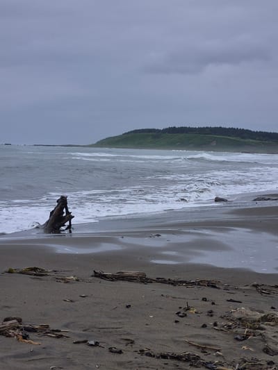 The image depicts a beach scene in Uglegorsk, Russia. A large piece of driftwood is positioned in the foreground, partially submerged by the incoming tide. The ocean is rough with foamy waves crashing onto the sandy shore. In the distance, a green, tree-covered hill rises against a cloudy, overcast sky. The beach is littered with smaller pieces of driftwood and debris. The overall atmosphere is somber and natural, with no people visible in the frame.