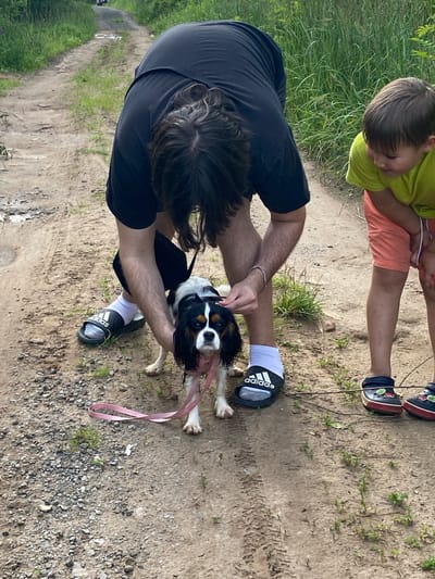 In this image, two individuals and a dog are on a dirt path, likely in a rural or outdoor setting. The primary subject is a person wearing a black t-shirt and black shorts, bent over to interact with a small dog. The dog, a Cavalier King Charles Spaniel, has tri-colored fur and is wearing a pink leash. The person has dark, curly hair and is wearing black Adidas slides with white socks.
To the left and slightly above, a child in a bright lime green t-shirt and orange shorts is visible. The child appears to be looking down, possibly at the dog or the ground. The child is wearing black Crocs with colorful embellishments. The ground is a dirt path with some scattered pebbles and small green plants growing through the soil. To the left of the path, tall green grass is visible.
The overall scene suggests a casual outdoor activity, such as a walk or a break during a hike. The lighting indicates it is daytime, possibly late afternoon or early evening, given the soft light. There are no strong indicators of specific weather, but the presence of lush green grass suggests it's not winter. The setting appears to be a natural environment, possibly a park, trail, or rural road. The interaction between the people and the dog seems relaxed and affectionate.