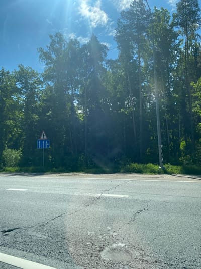 The image shows a rural road in Dol "Luch", Russia. On the right is a damaged asphalt road surface with white lane markings. To the left of the road is a grassy verge and a dense forest. A road sign indicating a side road on the left and various lane options ahead is visible. The sky is blue with scattered clouds. The overall scene is a roadside view in a forested area on a sunny day.