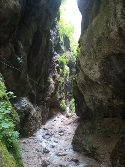 The image depicts a narrow canyon with a shallow stream flowing through it. Tall, moss-covered rock walls rise on either side, creating a shaded, rugged environment. Lush green vegetation, including ferns and small trees, clings to the rock faces and spills over the edges from above. A thin wire cable is strung horizontally across the canyon on the left side. The stream bed is composed of gravel and rocks. The lighting suggests it is daytime, with bright light filtering in from the open sky at the top of the canyon. The image appears to be taken from within the canyon, looking forward into its depth. The location is identified as the city of Khushto-Syrt, Russia.