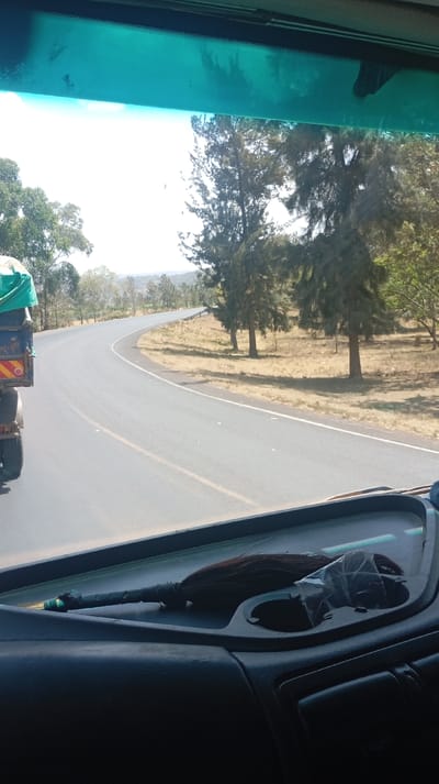 The image depicts a daytime scene observed from the interior of a vehicle on an asphalt road in Viwandani ward, Kenya. The perspective is forward through the windshield, with a dark gray dashboard visible in the lower foreground. On the dashboard, a dark brown whisk-like object with a wrapped handle lies horizontally. To its right, a small, clear plastic bag containing an unidentifiable dark object is partially visible within a cup holder. A blue-green tinted sun visor strip spans the top of the windshield.
The road is a two-lane asphalt surface curving to the right, marked with a solid white shoulder line and a broken yellow center line, along with intermittent white road studs. To the immediate left, the rear-left portion of a truck is visible, featuring a dark blue cargo bed, a green tarp covering cargo, and a red and yellow striped reflective marking on its lower rear panel. The road is flanked by dry, light brown grassy verges. On the right side, several tall, slender coniferous trees stand, casting shadows onto the dry ground. The distant background reveals rolling hills under a bright, clear, light blue sky. No individuals are visible.