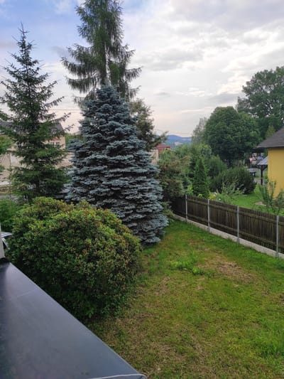 The image depicts a residential backyard in Jablonec nad Nisou, Czechia. In the foreground, a dark, angular object, possibly a balcony railing, occupies the lower left portion of the frame. Adjacent to it is a lush green bush. Dominating the mid-ground are several coniferous trees, including a prominent blue spruce. Beyond the trees, a wooden fence runs along the property line, with a concrete foundation visible beneath it. To the right of the fence, a yellow building with a dark roof and a white-framed window is partially visible. The background features more trees, some buildings, and a distant hilly landscape under a partly cloudy sky. The lawn is green but shows some patches of dry grass.
