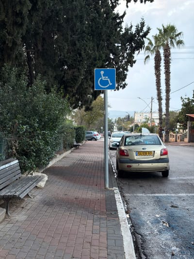 This image depicts an outdoor street scene in Migdal HaEmeq, Israel, under an overcast sky. In the foreground, a weathered wooden park bench with metal supports is situated on a red and grey brick sidewalk. The sidewalk extends into the midground, bordered by a dense green hedge on the left and a street on the right. A blue square sign featuring the international white wheelchair symbol is mounted on a metal pole positioned at the edge of the sidewalk, adjacent to the street.
To the right of the sign, a light gold/beige Kia Rio sedan, bearing Israeli license plate "54-518-60," is parked parallel to the curb on a damp asphalt street. Items are visible through the vehicle's rear window. Further down the street, additional parked vehicles include a white sedan and a grey SUV.
In the background, tall, dark green conifer trees line the left side, while two tall, slender palm trees are prominent on the right. Utility poles and power lines are also visible. Distant residential buildings and hills are visible under the cloudy sky. No individuals are present in the scene.