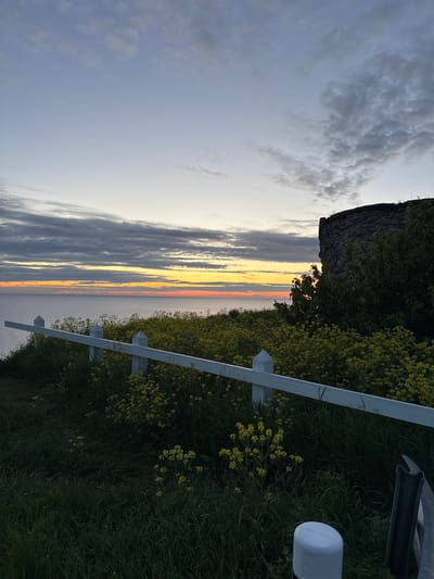 The image shows a view of the Baltic Sea at sunset, with a stone structure and vegetation in the foreground. The sky is a gradient of pale blue to orange, with scattered clouds. A white fence runs horizontally across the middle ground, separating the viewer from a field of yellow flowers and green grass. A portion of a stone building or wall, possibly a historical ruin, is visible on the right side of the image, partially covered by trees. The sea is calm and stretches to the horizon. The scene is set in Paldiski, Estonia, a town known for its coastal scenery and historical sites.