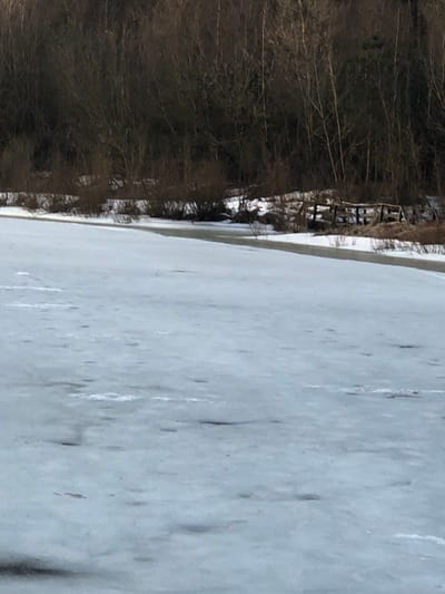 The image depicts a winter landscape in Сапоцкінскі сельскі Савет, Belarus, focused on a partially frozen body of water. The foreground is dominated by a sheet of blue-grey ice, exhibiting variations in texture and color, with darker, translucent areas and lighter, opaque patches. Scattered irregular white marks are present on the ice surface. In the midground, a narrow strip of dark, open water or very thin ice separates the main ice mass from the distant bank. The bank itself is covered with patches of snow and dry, brown vegetation. A dilapidated wooden structure, possibly a fence or remnants of a pier, is visible on the bank in the mid-right. The background consists of a dense line of bare deciduous trees, forming a dark, vertical mass against what appears to be an overcast sky. No individuals, animals, or specific actions are discernible.