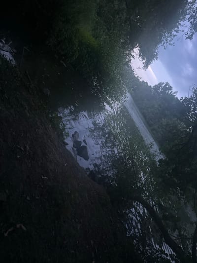 The image depicts a dark, moody scene of a body of water with trees along its banks. The water surface is disturbed, showing ripples and reflections. A dark, amorphous shape, possibly a duck or other waterfowl, is visible in the water near the left bank. The bank itself is composed of dark earth with some leaves and debris. The sky above is overcast with a hint of blue and a visible streak of light, suggesting either a break in the clouds or a contrail. The overall impression is one of a natural, serene environment, likely a park or nature preserve within Ludwigsburg, Germany, possibly early morning or late evening due to the low light conditions.