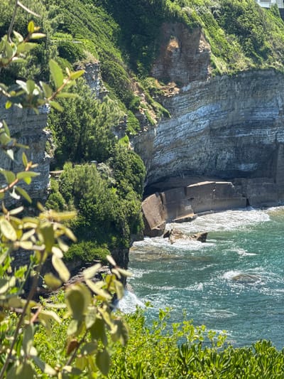 A bright, sunny day view of the rugged coastline of Biarritz, France, features steep, green-covered cliffs plunging into the turquoise ocean. Large rock formations, some appearing man-made or significantly weathered, jut out from the base of the cliff face into the water. The sea exhibits wave action with white foam. In the foreground, out-of-focus green foliage partially obscures the view. A narrow, paved path is visible on the upper part of the cliff. The scene depicts a natural coastal landscape with elements of geological features and the ocean.