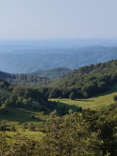 The image depicts a vast, mountainous landscape in Shipka, Bulgaria. The scene is a panoramic view of rolling hills and distant mountain ranges layered in varying shades of blue, indicating a clear, hazy atmosphere. The foreground and midground are dominated by lush, green vegetation. Dense forests of dark green trees cover the slopes, interspersed with patches of bright green grassland. A few scattered trees stand in the open meadows.
The time of day appears to be late afternoon or early evening, suggested by the soft, diffused sunlight that casts gentle shadows across the landscape, highlighting the undulating terrain. The weather seems pleasant and fair, with no visible clouds. The overall impression is one of serene natural beauty and vastness. There are no people, objects, or text visible in the image. The focus is purely on the natural environment of the mountainous region.