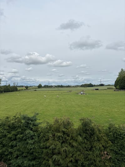 A view overlooking a large, grassy field with a few sheep grazing. There are some trees in the foreground and more trees in the distance. The sky is overcast with white clouds. The location is a rural area of Newton upon Derwent, UK.
