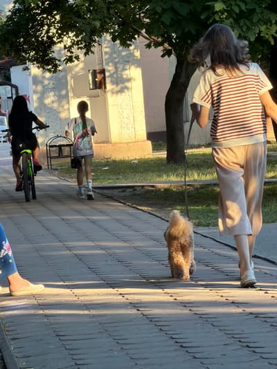 The image shows a street scene with several individuals and a dog. In the foreground, a person is walking a small, fluffy dog on a leash. The person is wearing a striped shirt and light-colored pants. Further down the street, another person is seen with a bicycle. This individual is wearing a graphic t-shirt and shorts. The scene appears to be outdoors, with a paved walkway and grass visible. Buildings and trees are in the background. The lighting suggests it is daytime, possibly late afternoon, with shadows cast by the sun. The overall atmosphere seems casual and relaxed, with people enjoying an outdoor stroll. The location context indicates this scene is in Kamianka-Buzka, Ukraine.
