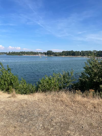 The image depicts a sunny day at the Grand Large lake in Vaulx-en-Velin, France. The foreground is a dry, dusty path with patches of dried grass and low-lying green bushes. The midground is dominated by the expansive blue water of the lake, with ripples suggesting a light breeze. In the distance, a sandy beach is populated with numerous people enjoying the water and sun. Various watercraft, including small boats and what appear to be inflatable water attractions, are scattered across the lake. A dense line of green trees forms the backdrop along the far shore, with a clear blue sky dotted with wispy clouds above. The overall scene conveys a lively recreational atmosphere at a popular lakeside destination.