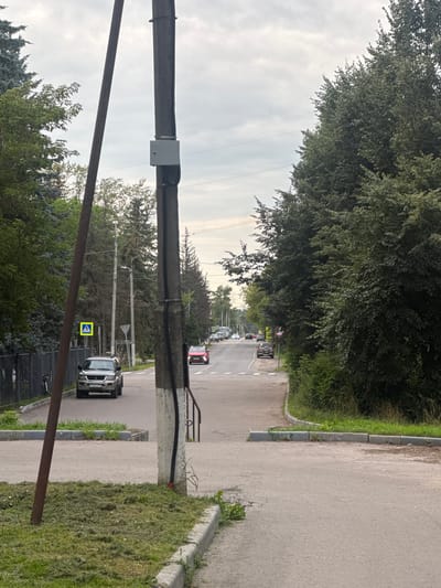 The image depicts a street scene in the city of Dedovsk, Russia, under an overcast sky. In the foreground, a concrete utility pole stands to the right, with a grey electrical box attached to it. To the left of the pole, a thinner, rusted metal pole runs diagonally upwards. The ground in the immediate foreground is covered with freshly cut grass. A paved road runs through the middle of the image, with a sidewalk and a grassy verge bordering it on the right. On the left side of the road, a black metal fence separates the road from a treed area. A silver SUV is parked on the left side of the road, facing away from the camera. Further down the road, a pedestrian crossing sign with a yellow background and a black silhouette of a person is visible. Several cars are driving or parked along the road in the distance. Trees line both sides of the road, creating a canopy in some sections.