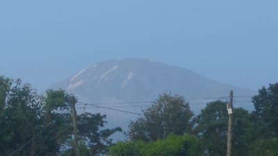 A hazy mountain fills the background, its slopes faintly visible through the mist. The sky is a pale blue. In the foreground, green trees and foliage occupy the lower half of the image. Utility poles and wires are interspersed amongst the trees, adding a human element to the otherwise natural scene. The light is soft and diffuse, creating a muted color palette.
