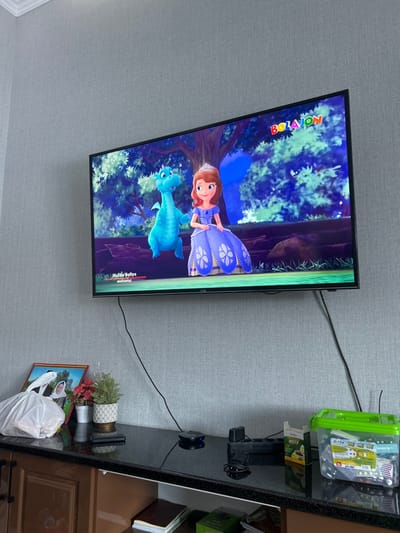 A television displays the cartoon "Sofia the First." Sofia, a young girl in a purple dress, stands next to a blue dragon. The backdrop features a blue-toned forest. The TV is mounted on a light gray wall. A dark-colored shelf to the right holds various items, including a green container, boxes, and books. A framed picture, a small potted plant, and a plastic bag sit below the shelf.