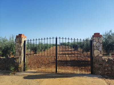 This is a horizontal, eye-level shot of a black wrought iron gate, flanked by stone pillars topped with red bricks, in Valverde de Leganés, Spain. The gate is partially open, revealing a dirt path winding up a sun-drenched hillside planted with olive trees. The ground is dry and dusty, with patches of dry grass and scrub. The sky is a clear, bright blue, indicating a sunny day, likely midday. The overall impression is one of rural tranquility and rustic charm. No people or animals are visible, and there is no text in the image. The composition suggests a private property, possibly an olive grove or orchard, accessed through this imposing gate. The light casts distinct shadows, further emphasizing the sunny weather.
