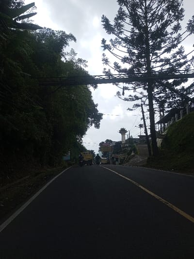 The image depicts an ascending, curving asphalt road in Thanthirimale, Sri Lanka, under an overcast sky. The road features a solid white line on its left edge and a dashed yellow line separating lanes towards the center.
On the left, a steep hillside densely covered in dark green foliage rises sharply. A dark, lattice-work metal bridge or utility structure spans horizontally across the upper portion of the frame, connecting the left hillside to the right side of the scene, with utility lines visible beneath it.
On the right, a tall, slender conifer-like tree stands prominently, silhouetted against the sky. Below the tree, a grassy slope ascends, partially obscuring a concrete barrier or railing belonging to an elevated structure. Further up the incline, a light-colored, multi-tiered tower with a domed top, resembling a stupa, is a prominent feature. Adjacent to and below this tower, several buildings or stalls with signage are visible along the roadside.
Vehicles are present on the road in the mid-distance, navigating the incline. A yellow dump truck is positioned in the left lane, followed by a motorcycle. Another motorcycle and a lighter-colored vehicle are also visible further ahead on the road. No distinct individuals are clearly discernible.