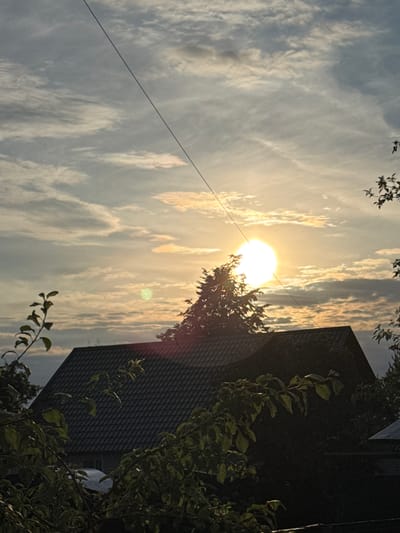The image depicts a sunset scene over a residential area, likely in Rzhev, Russia. In the foreground, dark foliage, possibly from trees or bushes, partially obscures the lower portion of the frame. Behind the foliage, the dark, textured roof of a house is visible. The house appears to be a single-story or low-rise structure.
The sky is filled with a dramatic display of clouds illuminated by the setting sun. The sun itself is a bright, dominant orb, positioned slightly to the right of the center of the image, its light casting a warm glow and creating a halo effect. Wispy, elongated clouds are scattered across the sky, some tinged with orange and yellow hues from the sunset. A thin, dark line, likely a power line, bisects the upper portion of the sky diagonally from the top left to the middle right. The overall atmosphere suggests a tranquil evening in a suburban or rural setting.