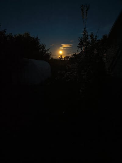 The image depicts a nighttime scene in Uzunovo, Russia, featuring a dark, silhouetted landscape illuminated by a bright moon. The moon, a prominent, glowing orb, hangs in the deep blue twilight sky, partially obscured by wispy clouds. In the foreground, dark trees and foliage create a stark contrast against the celestial light. A large, white, amorphous object, possibly a covered structure or vehicle, is visible on the left side of the frame, also shrouded in shadow. A portion of a building with a dark, angled roof is visible on the far right. The overall atmosphere is one of quiet darkness, with the moon serving as the primary source of illumination.