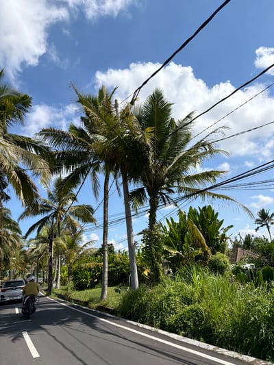 In Tampaksiring, Indonesia, a paved road stretches into the distance, bordered by lush vegetation and palm trees. A person rides a scooter on the left side of the road, wearing a yellow jacket and white helmet. A silver car is also present on the left side of the road. Overhead, power lines crisscross against a bright blue sky dotted with white clouds. The scene suggests a tropical, perhaps rural, setting with a mix of natural beauty and modern infrastructure.