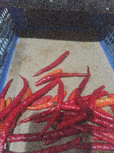 The image shows a pile of red chili peppers on a light brown surface in a location near the coordinates -7.829, 110.381 in the city of Banguntapan, Indonesia. The chili peppers are stacked in a haphazard manner, with some of them overlapping. The surface appears to be made of a light-colored material, possibly wood or plastic, and there is a faint grainy texture to the surface. The chili peppers are in focus and appear to be fresh, with no signs of damage or bruising. There is a hint of blue color at the top and bottom of the image, suggesting the presence of some kind of container or structure. The chili peppers are arranged in a manner that suggests they were recently harvested or picked. There are no other objects or people present in the image.