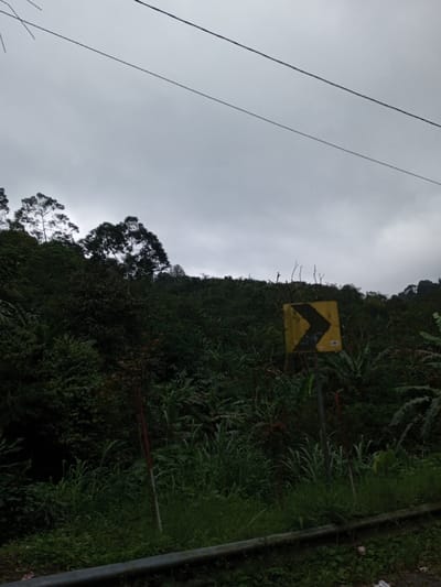 The image depicts a static outdoor scene in Boommlog, Bhutan, characterized by a mountainous, heavily vegetated environment under an overcast sky. The upper third of the frame is dominated by a light grey, uniformly cloudy sky. Two dark, thin linear objects, consistent with overhead wires or power lines, traverse the sky horizontally from left to right.
The midground and background consist of a densely forested hillside, ascending steeply and covered in various shades of dark green foliage from numerous trees, shrubs, and ground cover. In the lower-midground, to the right of the frame's center, a square yellow road sign is visible. It features a prominent black chevron arrow pointing sharply to the right, indicating a curve or turn in the road. The sign appears weathered or discolored with dark streaks.
In the foreground, a dark metallic grey guardrail extends horizontally across the bottom edge of the image, suggesting the presence of a road immediately in front of the viewer's position. The area between the guardrail and the base of the hillside is covered with tall, varied green grasses and other low-lying vegetation. Two thin, red and white striped marker poles are partially visible within this vegetation in the lower-left quadrant, positioned behind the guardrail. No individuals or animals are present, and no actions or interactions are depicted.