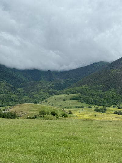 The image depicts a verdant landscape in the vicinity of Verkhnyaya Teberda, Russia, characterized by rolling hills and lush mountain slopes. In the foreground, a dense field of green grass stretches across the frame, dotted with small white wildflowers. Beyond this, the terrain rises into a series of undulating hills.
Further into the midground, a section of the landscape is covered in a carpet of bright yellow wildflowers, interspersed with scattered trees. More hills rise behind this, transitioning into steeper, forested inclines. The mountains in the background are heavily wooded with dense green trees, with the upper reaches partially obscured by a thick layer of grey clouds that hang low in the sky. The overall atmosphere is one of a natural, undeveloped environment, likely captured on an overcast day. There are no people or animals visible in the frame.