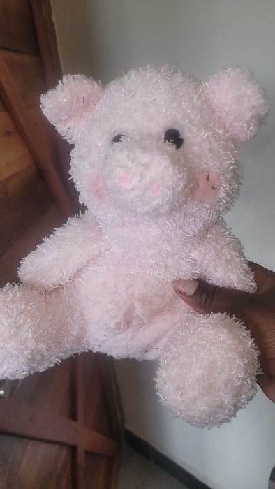 The scene, set indoors in Nanyuki, Kenya, features a dark-skinned human hand holding a light pink, shaggy-textured stuffed animal. The animal, resembling a pig or bear, exhibits black button eyes, a pink fabric snout, and pink circular accents on its cheeks. Its fur appears worn and contains small dark debris particulates. The hand grasps the stuffed animal's right side, with visible fingers and short fingernails. The background consists of a blurred wooden structure, possibly a door frame or furniture, on the left, and a plain light-colored wall with a dark baseboard on the right.