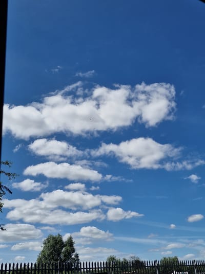 A black metal spiked fence runs horizontally across the bottom of the frame. Behind the fence, a line of trees, mostly green with some bare branches, extends across the middle ground. The sky above is a bright, clear blue, punctuated by scattered white cumulus clouds of varying sizes. A single, small, dark object, possibly a bird or an insect, is visible in the upper portion of the sky. The scene appears to be an outdoor environment in Fenland District, United Kingdom, on a clear day.