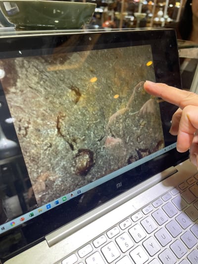 A close-up shot shows a person's right index finger pointing at a laptop screen displaying a magnified image of what appears to be a geological sample or organism. The laptop is open on a silver keyboard, with various icons visible on the screen's taskbar. Above the laptop, a green ceramic bowl is partially visible, resting on a reflective surface. The background is blurred, showing shelves with various items, possibly in a shop or museum setting, located in Futian District, China.