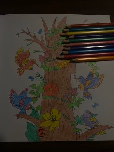 The image depicts a partially colored drawing of birds, flowers, and butterflies on a branch. Several colored pencils are arranged along the top edge of the drawing. The subject matter appears to be illustrative and does not represent a specific location in Hudson, Argentina.