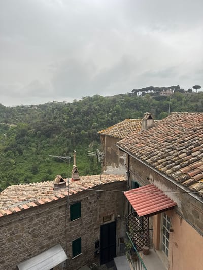 A view of rooftops and foliage. The image shows terracotta roof tiles of buildings, interspersed with greenery. Visible in the distance is a hillside covered with dense trees and vegetation. A cloudy sky is visible above the hill. The foreground consists of buildings constructed from stone, with green window shutters, and antennas. The image provides a glimpse of Castelnuovo di Porto, Italy, from an elevated position, featuring the architecture and natural environment.