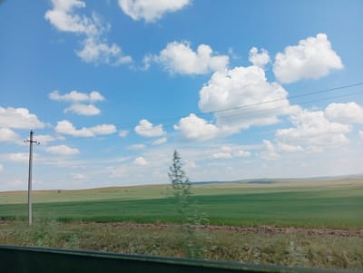 An eye-level, wide-angle shot captures a vast, flat expanse of green fields under a bright blue sky dotted with fluffy white clouds. In the foreground, a dark, blurred object, possibly the edge of a vehicle, obstructs the lower portion of the frame. To the left, a tall, gray utility pole with wires stands against the horizon. A faint, out-of-focus vertical shape, likely a thin tree or shrub, is visible in the middle ground, its silhouette appearing blurred due to motion. The landscape stretches into the distance, with rolling hills forming the backdrop under the expansive sky. The overall scene depicts a rural, open landscape.