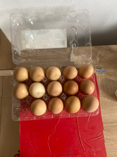 The scene depicts a clear plastic egg carton holding twelve eggs, positioned on a crinkled red surface. The carton's hinged lid is open and rests above the base. All twelve egg compartments in the base are occupied by eggs varying in shades from light tan to medium brown; one egg in the middle row appears distinctly lighter, almost off-white. Within the open lid, a rectangular white object with blue and red markings, possibly a label including the word "Lipton", is visible. The red surface beneath the carton extends to the right, revealing a light brown, possibly wooden, surface. A small blue and white object, identified by the visible word "DOLLAR", lies on this brown surface near the carton's base. A light-colored, textured wall or vertical surface forms the background on the left. The environment is illuminated by ambient light. This scene is located in Odo Ona, Nigeria.