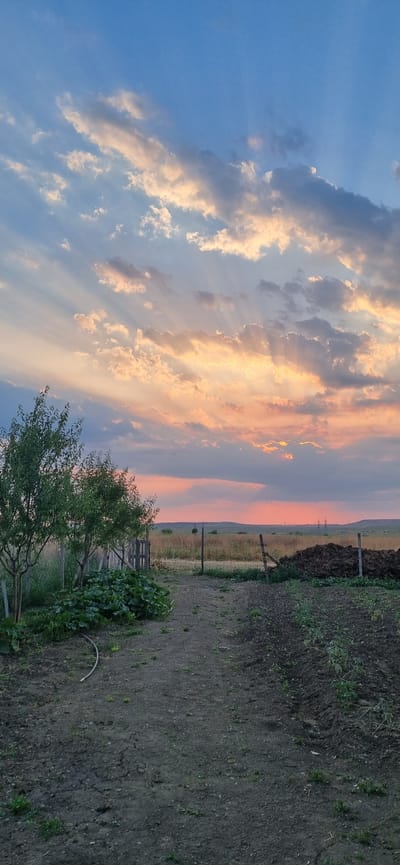 The image depicts a rural landscape at sunset in Blizhnee, Ukraine. The sky is filled with dramatic clouds, illuminated by the setting sun with visible crepuscular rays. In the foreground, a dirt path leads towards a field of dry grass and vegetation. To the left, there is a small tree and lush green plants near a wooden fence. To the right, a pile of dark, organic material, possibly compost or manure, is visible. A wire fence runs horizontally across the middle ground, separating the cultivated area from the field. In the distance, rolling hills are silhouetted against the colorful sky. Several utility poles are also visible on the horizon. The scene appears to be a garden or small farm.