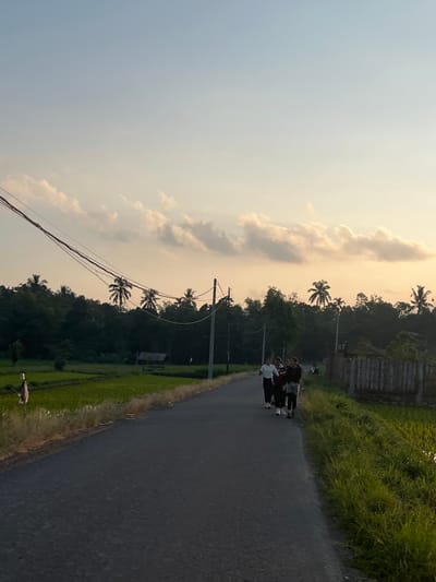 This image depicts a group of four individuals walking on an asphalt road in Lendangnangka Utara, Indonesia. The individuals are walking away from the camera, towards a treeline and a body of water. They are dressed in casual attire. The road is flanked by lush green fields and vegetation. In the background, palm trees and other foliage are visible, silhouetted against a sky filled with soft, diffused clouds. The lighting suggests it is either sunrise or sunset, with warm, golden hues dominating the sky. The overall scene conveys a sense of tranquility and natural beauty.
