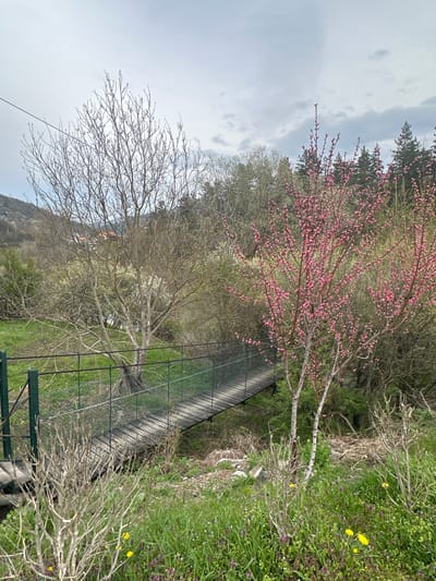 The image depicts a landscape near Tompsan, Bulgaria. A metal bridge with a green frame crosses a stream or ditch. Vegetation includes flowering trees with pink blossoms and other trees with bare branches, alongside green grass and wildflowers. The sky is overcast with grey clouds. A hillside or small mountain is visible in the background.