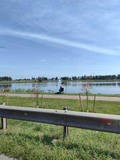 In Dzyarzhynsk, Belarus, a serene lake reflects a clear blue sky dotted with wispy clouds. The foreground features a metal guardrail bordering a grassy area with scattered white wildflowers and young trees. Beyond the grass, a paved path runs alongside the lake. On the far side of the lake, a dense line of trees forms the horizon, with a few buildings and a prominent fountain visible. Two individuals are engaged in fishing by the water's edge; one is seated under a large umbrella, while the other is accompanied by fishing rods.