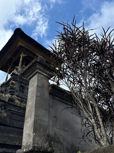 An outdoor, low-angle, medium shot captures the corner of a dark stone temple structure with elaborate golden trim on its tiered roof. A weathered, square stone pillar stands in the foreground, to the right of the temple's corner. To the right of the pillar and partially obscuring the temple's upper portion and the sky is a dark-leaved, spindly plant. The background consists of a bright blue sky dotted with wispy white clouds. The scene appears to be located in Rendang, Indonesia, suggested by the architectural style of the temple, which is common in Balinese Hinduism. There are no people or animals visible in the image.
