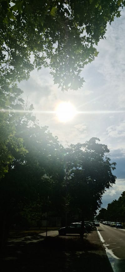 The image captures a street scene in Karlsruhe, Germany, on a partly cloudy day. The sun is bright, creating lens flare and illuminating the sky. Lush green trees with dense foliage frame the upper portion of the image, with branches and leaves casting shadows. In the foreground and mid-ground, silhouetted against the bright sky and sun, are dark masses of trees and some shrubbery. A street runs along the right side of the frame, lined with parked cars. The street appears wet in places, suggesting recent rain. The vehicles are parked along the side of the road, with a sidewalk or paved area adjacent to them. The overall atmosphere is one of an urban street scene on a sunny day with overcast sky.