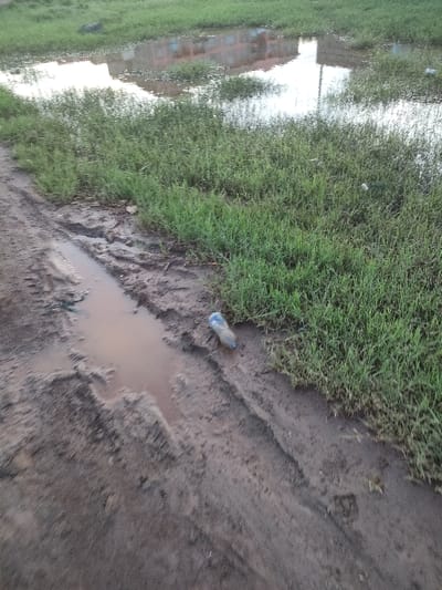 An outdoor scene in Juja ward, Kenya, depicts a saturated, unpaved area following precipitation. The foreground features a muddy dirt path with distinct tire tracks and an elongated puddle of turbid, brown water. A discarded, translucent plastic water bottle lies horizontally on the muddy ground adjacent to the path. To the right and mid-ground, dense green grass grows in patches and extends into shallow standing water. The background is dominated by a large expanse of standing water, which reflects a multi-story building of light-colored masonry with visible window openings, and a prominent vertical dark reflection, likely a utility pole or similar structure. No individuals are visible.