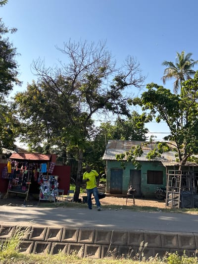 This eye-level photograph captures a sunny, outdoor scene in Mto Wa Mbu, Tanzania, featuring a vibrant street-side environment. The sky is clear blue, occupying a significant portion of the upper frame, with scattered clouds barely visible.
In the mid-ground, a man wearing a bright neon yellow t-shirt and blue jeans is visible, appearing to stand or walk. He is positioned near a small, somewhat weathered green building with a corrugated metal roof and dark windows. The number "529" is faintly discernible on the building's facade. Adjacent to this building and closer to the foreground, a market stall or kiosk is set up, laden with various goods such as clothing, accessories, and other small items displayed on shelves and racks.
The scene is rich with vegetation, including several large trees with lush green canopies, some appearing to be partially deciduous with bare branches, and a palm tree reaching into the blue sky. To the right, a paved road or path runs alongside a textured concrete block retaining wall. The overall ambiance suggests a bright, warm day, likely mid-morning or afternoon, with everyday life unfolding in a local setting.