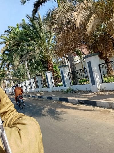 The image depicts a daytime street scene in Sharada, Nigeria, from the perspective of a moving vehicle. The immediate foreground shows a portion of a person's light brown or khaki-colored garment. An asphalt road, displaying tire marks and distinct shadows from palm fronds, occupies the center and lower-left. A black and white painted concrete curb borders the right side of the road, separating it from a sidewalk or paved area. Beyond the curb, a long, white stucco wall with black ornate metal fencing runs parallel to the road, indicating a property boundary. A dense line of mature palm trees with both green and brown fronds grows along the right side, behind the wall.
Ahead of the viewer, a single individual wearing a reddish-brown long-sleeved garment is operating a dark-colored motorcycle, traveling in the same direction on the right side of the road. No helmet is discernible on the motorcyclist. Further in the distance, on the left side of the road, at least two other figures in lighter attire are visible, appearing to be walking or standing. The sky above is clear and light blue, indicating bright daylight.