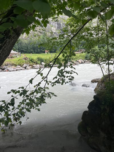 The image depicts a wide, milky-white river flowing through a natural landscape. The foreground is dominated by dark tree branches with green leaves, some of which hang over the water. The river's surface is turbulent, with visible ripples and splashes around rocks. On the left bank, a grassy area leads up to a small cluster of buildings, including what appears to be a small red-roofed house and a white structure. Further in the background, a steep, rocky mountain face rises, with dense green forest covering its lower slopes. The overall atmosphere suggests a remote, natural setting, possibly in a mountainous region. While the image is suggestive of a location in Wengen, Switzerland, the specific visual elements do not definitively confirm this without external information. There are no people visible in the frame.