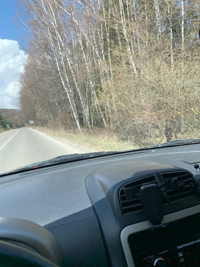 The image, taken from inside a vehicle, shows a road stretching into the distance through a forested area, likely captured during late winter or early spring. The perspective suggests the photographer is a passenger or driver looking out the front windshield.
In the foreground, the dark grey dashboard of the car is visible on the right side, partially obscuring the view. A black phone holder is clipped onto an air vent on the dashboard. Above it, a car stereo is visible, displaying text like "FM/USB/TF/MP3/BLUETOOTH PLAYER" and "BAND/AMS". Fine dust particles are scattered across the dashboard's textured surface.
Beyond the windshield, a paved road with a solid white line on its right edge leads forward. On the left side of the road, a dense stand of trees with characteristic white bark, possibly birches, dominates the landscape. These trees are mostly bare, their branches forming intricate patterns against the bright blue sky, which features scattered white clouds. The ground beneath the trees is covered in dry vegetation. On the right side of the road, sparser bare trees and undergrowth are visible. In the far distance, faint outlines of hills or mountains can be seen under the sky. The bright sunlight indicates it is daytime with clear weather. A small, indistinct road sign is visible in the distance on the left side of the road. The scene depicts a drive through a rural or mountainous region, consistent with the provided context of Gintsi, Bulgaria.