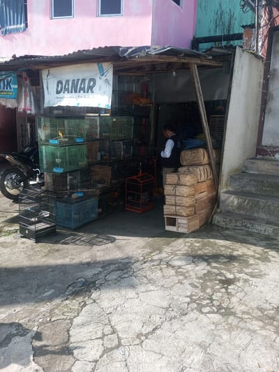 The image shows a storefront in Nhot Chang, Laos. The shop, identified by a sign that reads "DANAR", appears to specialize in bird cages and related supplies. Several birdcages are stacked near the front of the store, some containing birds. A motorcycle is parked on the left side of the shop's entrance. A man stands inside the shop. To the right of the storefront is a set of concrete stairs leading up to another building. The building is painted pink. The ground in front of the shop is concrete.