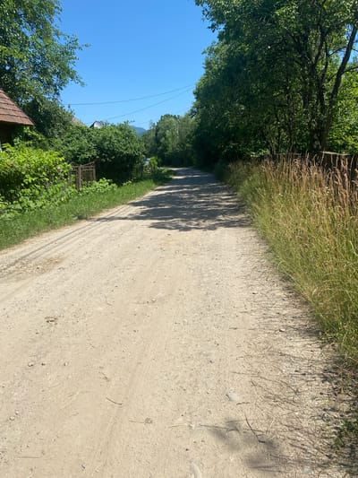 This image depicts a sun-drenched dirt road winding through a rural landscape. On the left side of the road, lush green trees and foliage create a dense border, with a clear blue sky visible above. A hint of a building with a brown roof is visible at the bottom left, suggesting a residential area. In the distance, the road continues, shadowed by the trees, leading towards a mountainous horizon. The right side of the road is bordered by tall, dry grass and dappled sunlight. The road itself is made of light-colored dirt and gravel, with tire tracks visible. The overall scene evokes a sense of peacefulness and a warm, sunny day in a rural Ukrainian setting, possibly Luh. The lighting suggests it is midday. There is no visible text.