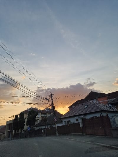 The scene depicts an urban street in Odorheiu Secuiesc, Romania, during the late evening or sunset. The sky transitions from light blue overhead to orange and yellow at the horizon, with scattered grey-orange clouds and faint wispy contrails. A dense network of black electrical and communication wires diagonally crosses the upper frame, originating from a dark wooden utility pole situated centrally on the right side of the road.
The foreground features an unoccupied asphalt road, curving slightly to the right, with a faint white line marking visible on its surface. To the left, a light-colored building is partially obscured by three tall, dark columnar trees and a dark fence. Behind this, a multi-story building with a red-tiled roof and multiple dormers is visible. To the right, several residential structures with brown and red-tiled roofs and dark fences line the road. One prominent white-faced house with a brown tiled roof features a visible roof dormer or skylight. Blue and white street signs are present near the base of the utility pole and among the trees on the left. No individuals, vehicles, or active elements are observed in the scene.